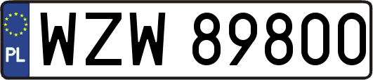 WZW89800