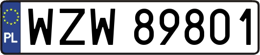 WZW89801
