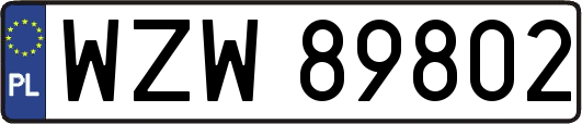 WZW89802