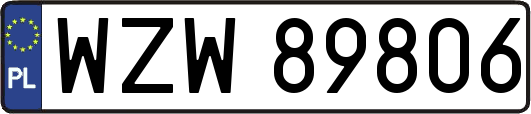 WZW89806