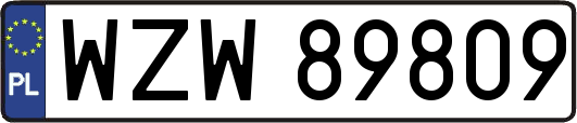 WZW89809