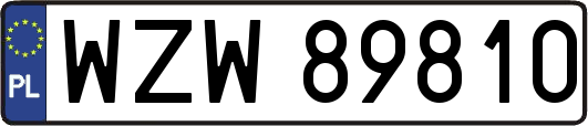 WZW89810