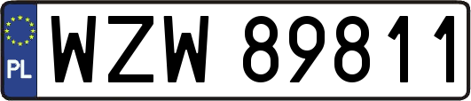 WZW89811