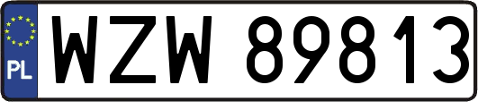 WZW89813