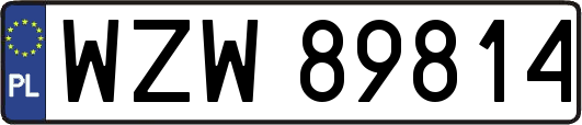 WZW89814