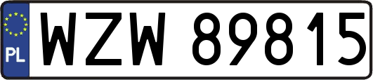 WZW89815