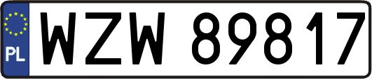 WZW89817
