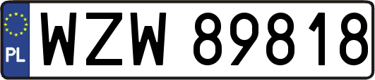 WZW89818