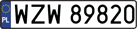WZW89820
