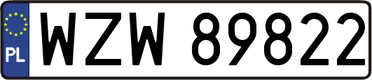 WZW89822