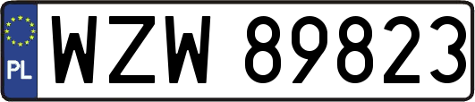 WZW89823