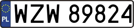 WZW89824