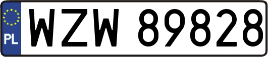 WZW89828
