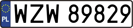 WZW89829