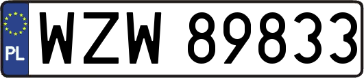 WZW89833