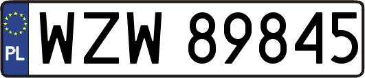 WZW89845