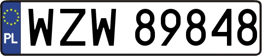 WZW89848