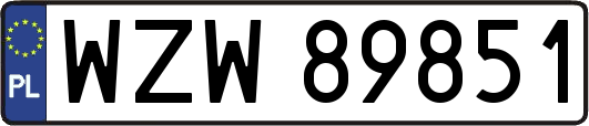 WZW89851