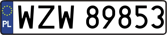 WZW89853
