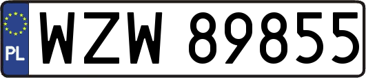WZW89855
