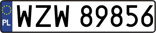WZW89856