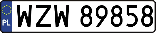 WZW89858