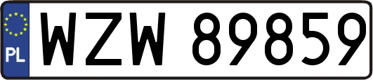 WZW89859