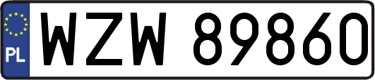 WZW89860
