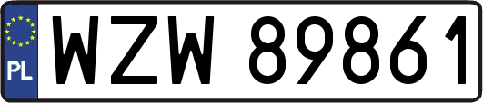 WZW89861