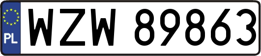 WZW89863
