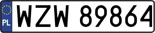 WZW89864