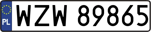 WZW89865