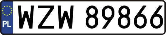 WZW89866