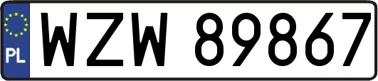 WZW89867