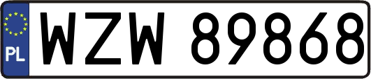 WZW89868