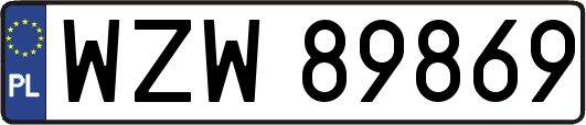 WZW89869