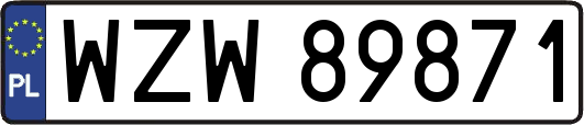 WZW89871