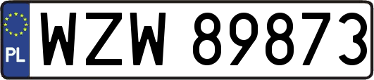 WZW89873