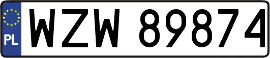 WZW89874