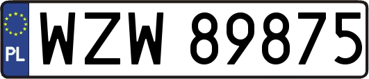 WZW89875