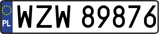 WZW89876