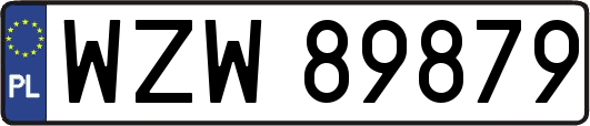 WZW89879
