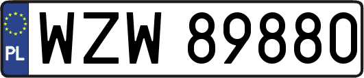 WZW89880