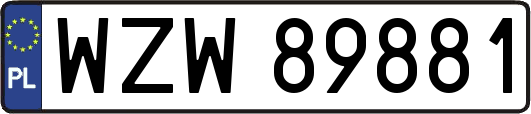 WZW89881