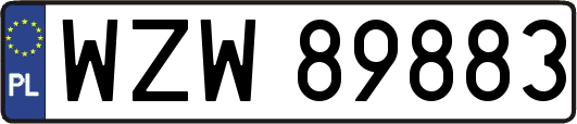 WZW89883