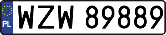 WZW89889