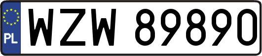 WZW89890