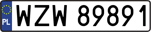 WZW89891