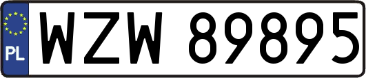 WZW89895