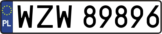 WZW89896
